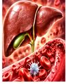 Respiratory Infections